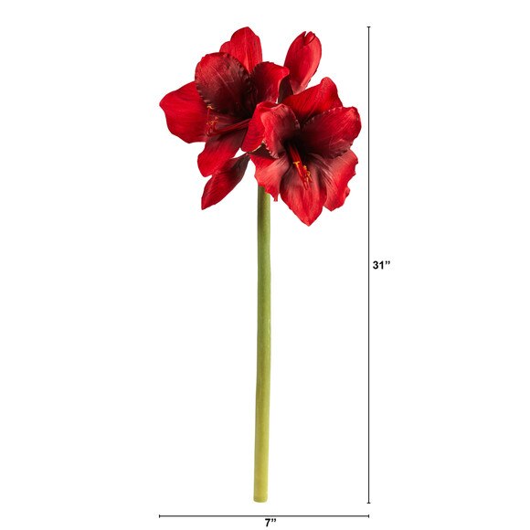31 Amaryliss Bloom Collection - SKU #2383 - 1